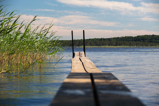 A narrow wooden pier for bathing from the shore into the water in a forest lake. Lake in the forest
