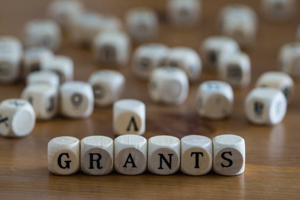 istock Grants written with wooden cubes 1251925792