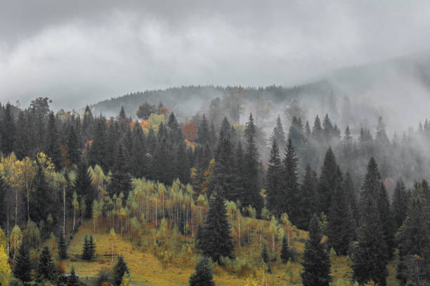istock Autumn mountain landscape 1251938123