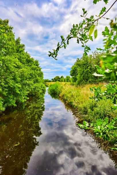 istock Cloudy sky over a little creek. 1251952587