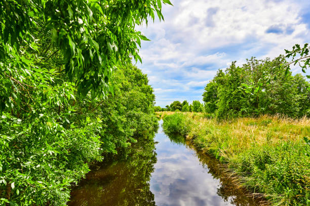 istock Cloudy sky over a little creek. 1251953115