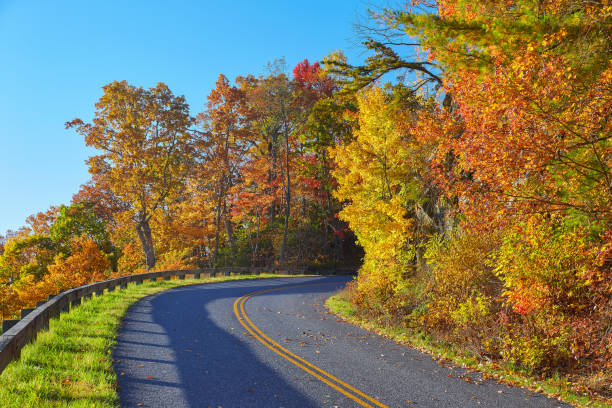 istock Fall Foliage Along the Blue Ridge Parkway in Virginia 1251961214