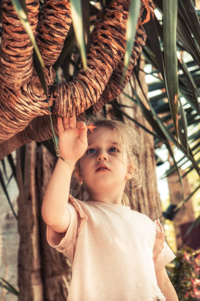 hermosa niña tocando el concepto de palmera salvando el estilo de vida de la naturaleza - children only tree area exploration freshness fotografías e imágenes de stock