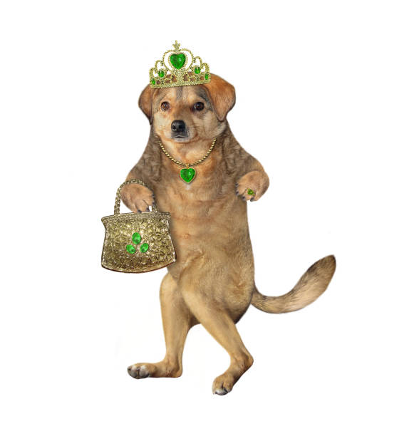 istock Dog in crown with handbag 1251969228