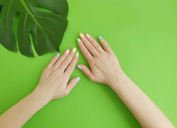 istock female hand manicure monstera leaf on color background 1251974844
