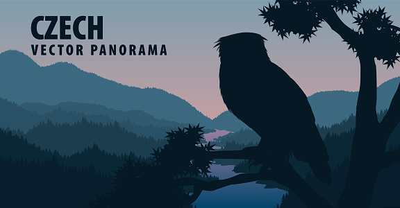 vector panorama of Czech Republic with eagle owl