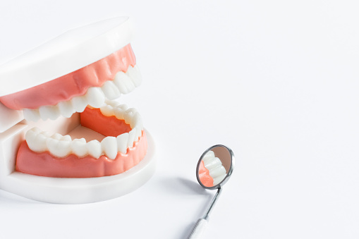 Teeth model and dental mirror on white background close-up. Dental care concept. Copy space.