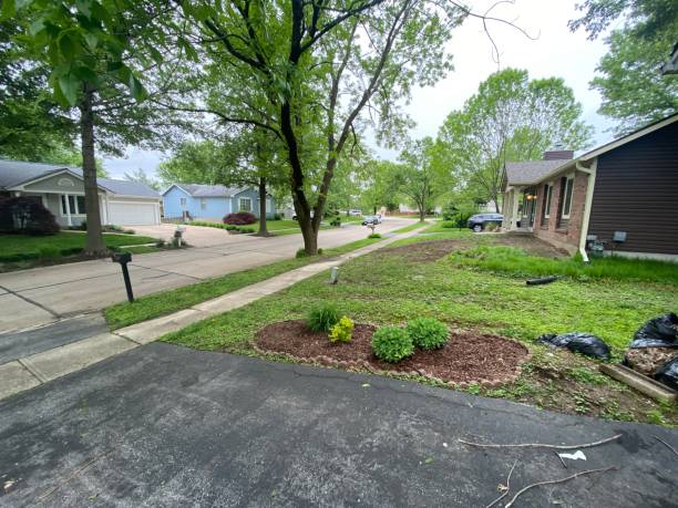 istock Neighborhood I 1251977448