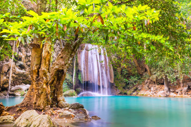 waterfall in tropical forest with green tree and emerald lake, erawan, thailand - travel travel locations nature erawan imagens e fotografias de stock