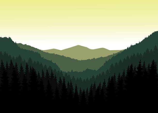山のパノラマ。 - european alps carpathian mountain range evergreen tree tree点のイラスト素材／クリップアート素材／マンガ素材／アイコン素材
