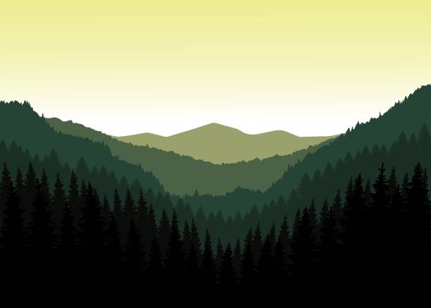 산의 파노라마. - european alps carpathian mountain range evergreen tree tree stock illustrations