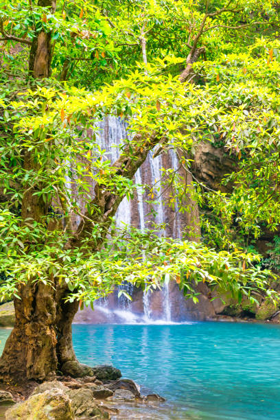 chute d’eau dans la forêt tropicale avec l’arbre vert et le lac d’émeraude, erawan, thaïlande - erawan national park beauty in nature waterfall photos et images de collection