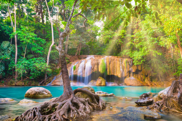 istock Tropical waterfall with emerald lake and rocks in jungle forest 1251980130