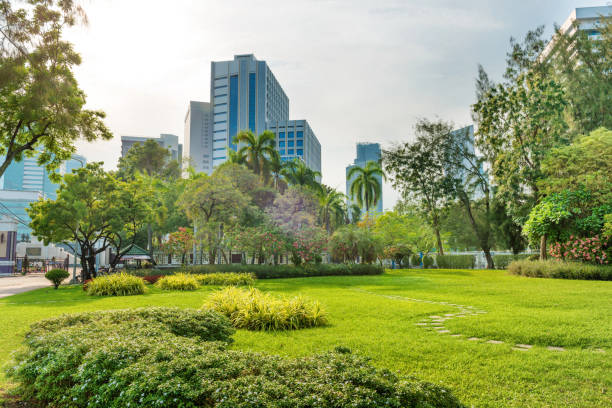 View of Lumphini park in Bangkok, Thailand stock photo