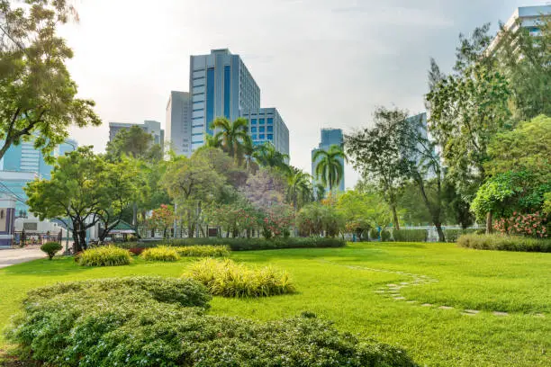 Landscape view of beautiful Lumphini park with green trees, lawn and modern buildings on sky background. Bangkok, Thailand