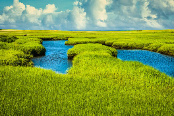 salt marsh w: mid tide - massachusetts landscape new england spring zdjęcia i obrazy z banku zdjęć