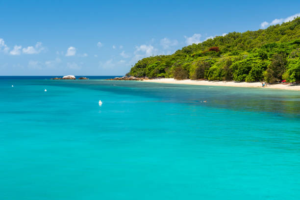 istock Fitzroy tropical Island beach in a sunny day 1251998070