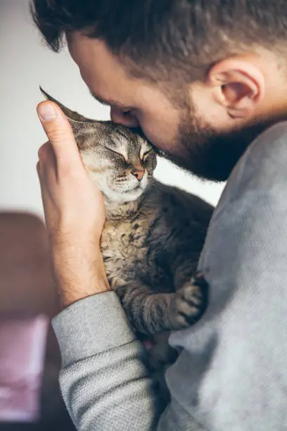 Handsome young animal-lover man hugs and cuddles his tabby Devon Rex cat.