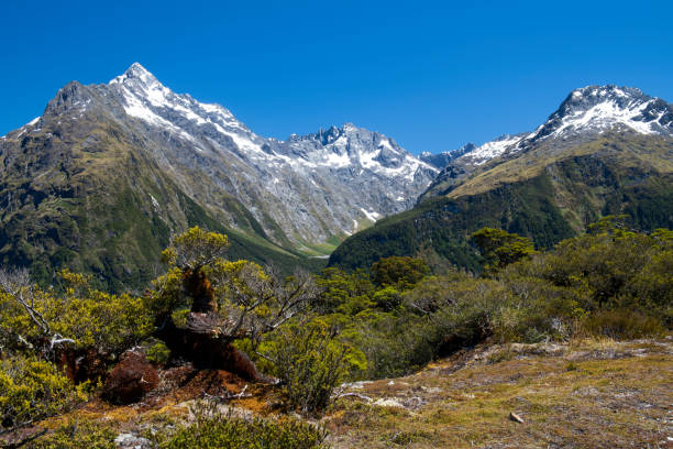 istock Scenery at Key Summit in Fiordland National Park 1252003378