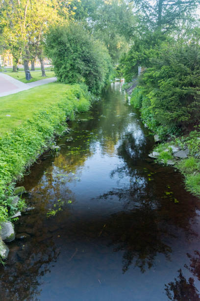 istock Dymer river in Biskupiec, Poland. 1252017797