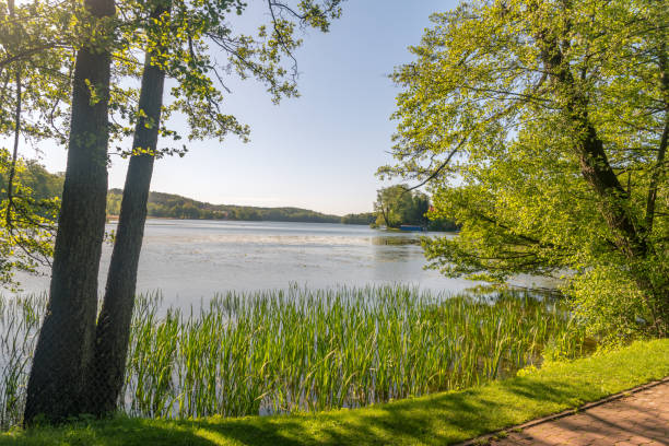 istock Czos lake on sanny day in Mragowo. 1252018338