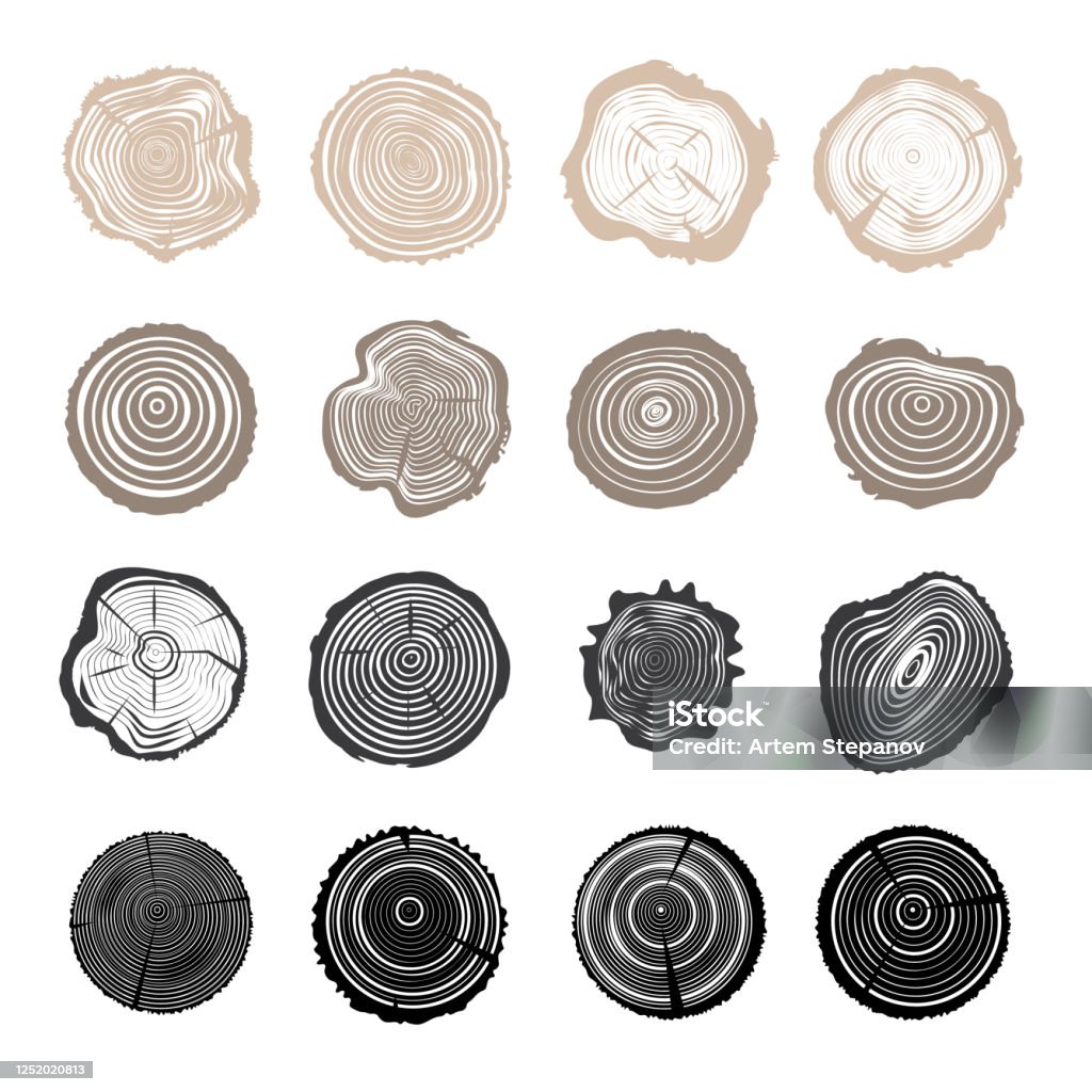 Coupes de tronc d’arbre ou collection de section transversale de bois - clipart vectoriel de Logo libre de droits Coupes de tronc d’arbre ou collection de section transversale de bois - clipart vectoriel de Logo libre de droits