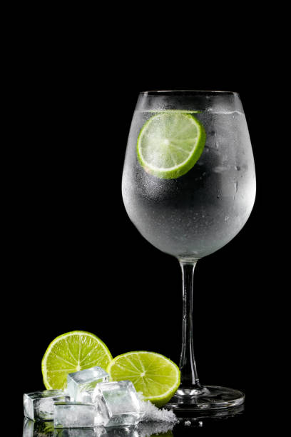 istock Gin and tonic cocktail with lemon and ice. 1252032194