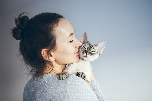 Foto estilo de vida de una mujer vestida casual está sosteniendo y acariciando y besando lindo gato Devon Rex. photo