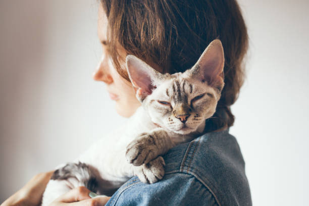 istock Woman is holding in her arms cute Devon Rex cat with sleepy face. Kitty is feeling content and safe. Petting a cat, anti stress. 1252045423