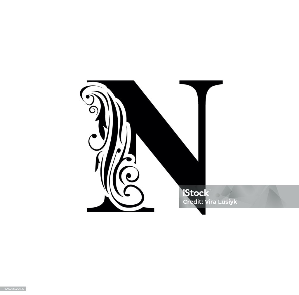Letter N Black Flower Alphabet Beautiful Capital Letters Stock ...