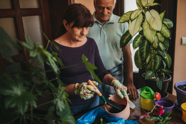 istock Senior couple gardening at home 1252058593