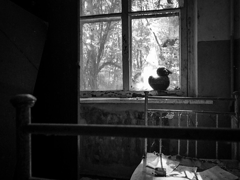 Shot in area around Chernobyl & Pripyat, Ukraine, Europe, black and white