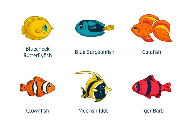 Set Of Tropical Fishes With Their Names Vector Illustration In Cartoon Style Stock Illustration - Download Image Now - iStock Set Of Tropical Fishes With Their Names Vector Illustration In Cartoon Style Stock Illustration - Download Image Now - Istock