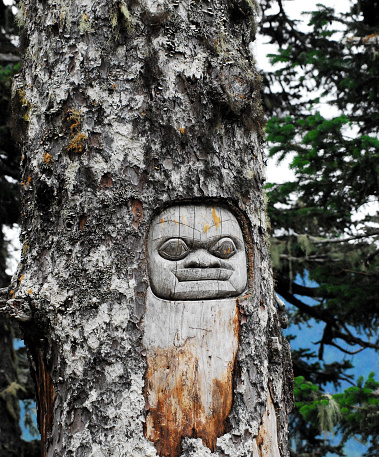 Close up of a  native American Tlingit totem, symbolizing a messenger or sentry, carved  in the truck of a living Conifer tree near Juneau, Alaska, USA.