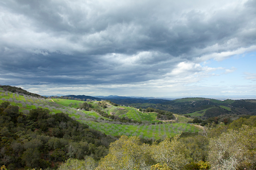 gray rain clouds hover over green valley with orchard in distance
