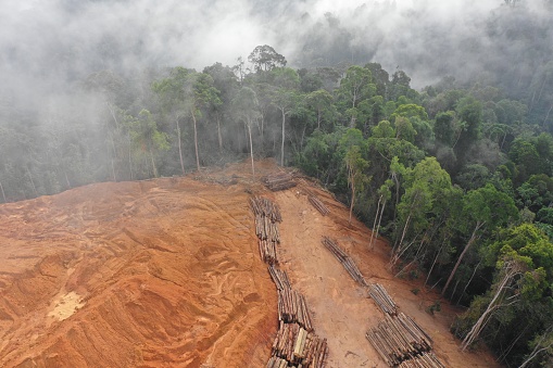 Logging. Aerial drone view of deforestation environmental problem