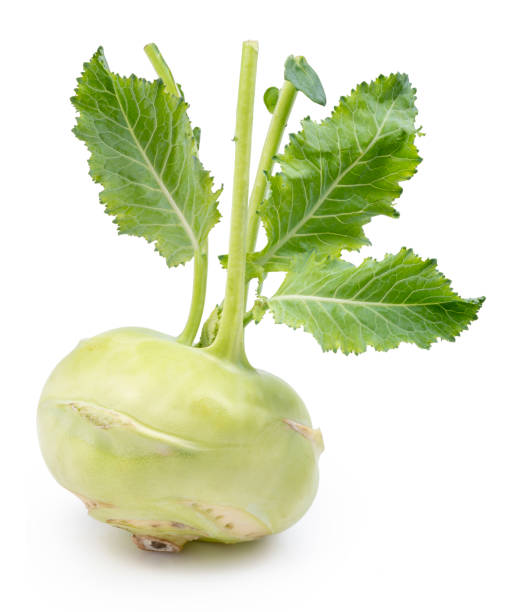 green kohlrabi with green leaves on isolated white background. - kohlrabi turnip kohlrabies cabbage imagens e fotografias de stock