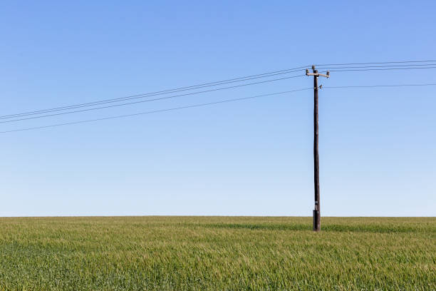 poste de telégrafo en un campo con cielo azul - poste telegráfico fotografías e imágenes de stock