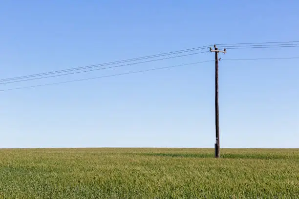 Photo of Telegraph pole in a field with blue sky