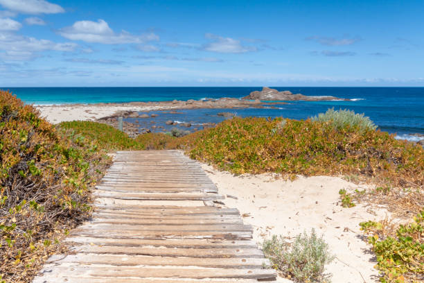 istock Wooden path to the beach 1252192141