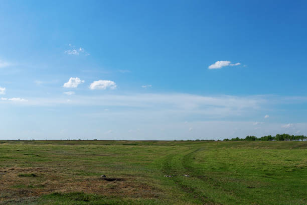 istock Green meadow and blue sky with clouds. 1252205724