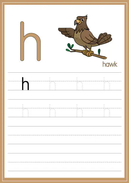 Vector illustration of Vector illustration of Hawk isolated on a white background. With the capital letter H for use as a teaching and learning media for children to recognize English letters Or for children to learn to write letters Used to learn at home and school.