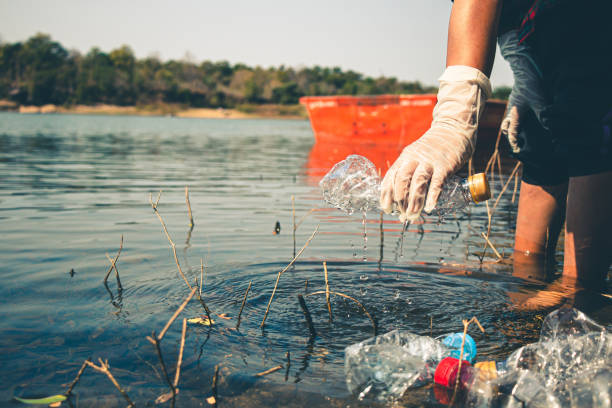 istock Group of people help garbage collection for to keep clean and take  recycling. 1252244209
