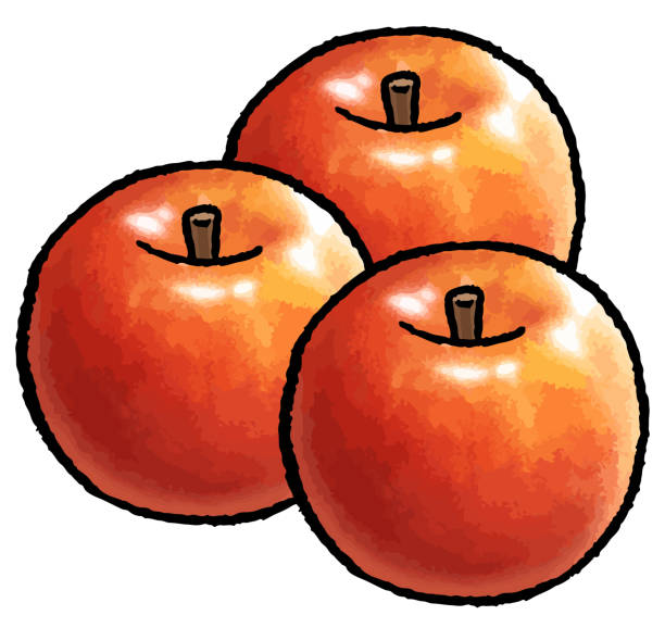 ilustrações, clipart, desenhos animados e ícones de ilustração vetorial desenhada à mão de maçãs - agriculture autumn apple greengrocers shop