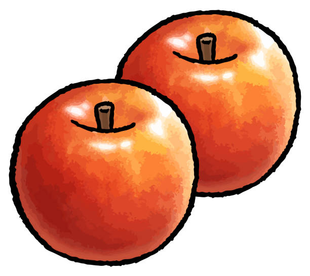 ilustraciones, imágenes clip art, dibujos animados e iconos de stock de ilustración vectorial dibujada a mano de manzanas - agriculture autumn apple greengrocers shop