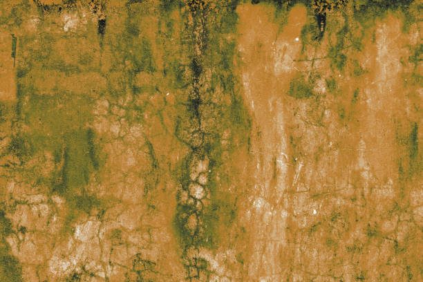 The grunge old abstract pale orange background