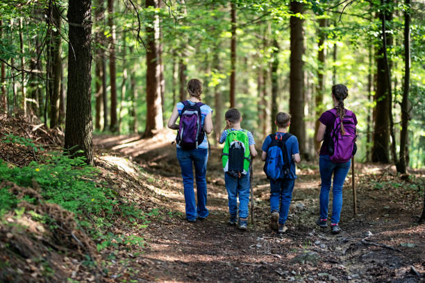 istock Hiking family hiking in forest 1252258620