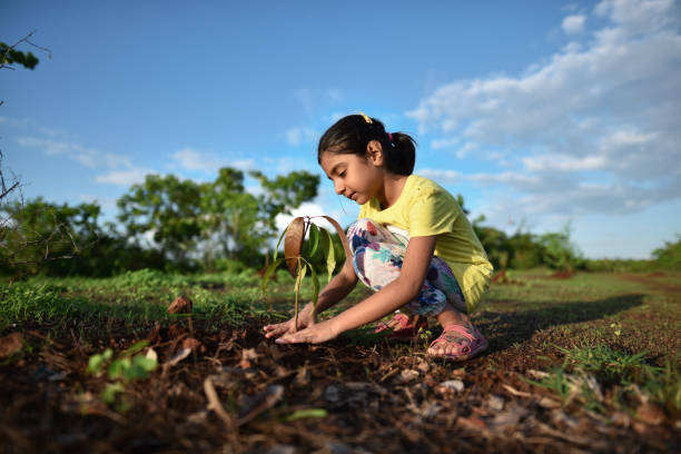 istock Girl planting a tree 1252261689