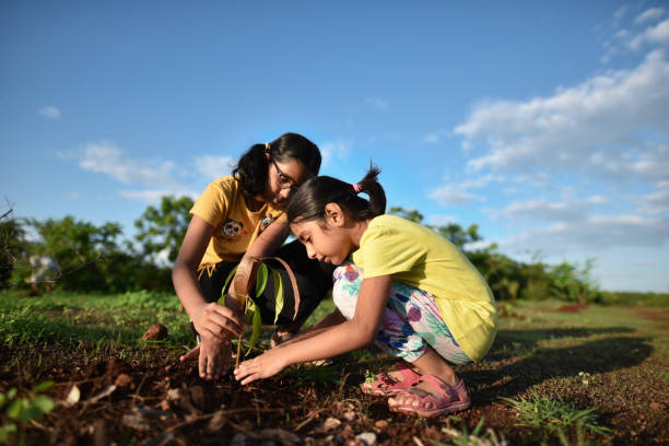 istock Sisters planting a Mango tree plant 1252261691