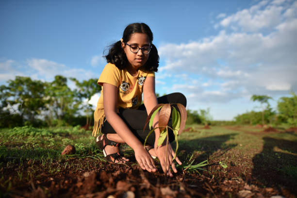 istock Preadolescent girl planting a tree 1252262148